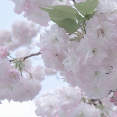 连江FurryQQ群介绍